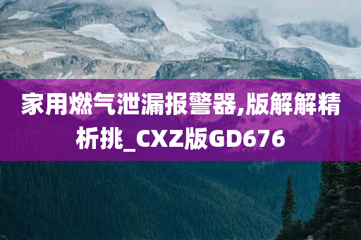 家用燃气泄漏报警器,版解解精析挑_CXZ版GD676