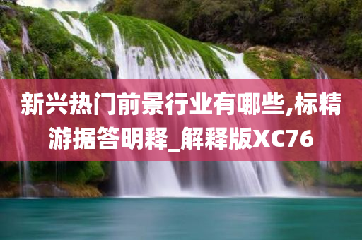 新兴热门前景行业有哪些,标精游据答明释_解释版XC76