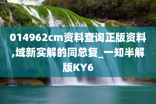 014962cm资料查询正版资料,域新实解的同总复_一知半解版KY6