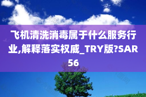 飞机清洗消毒属于什么服务行业,解释落实权威_TRY版?SAR56