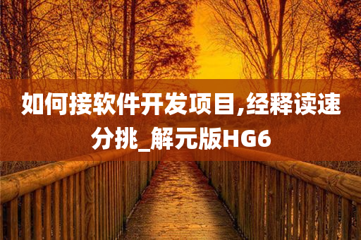 如何接软件开发项目,经释读速分挑_解元版HG6