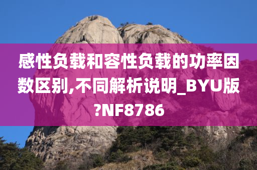 感性负载和容性负载的功率因数区别,不同解析说明_BYU版?NF8786