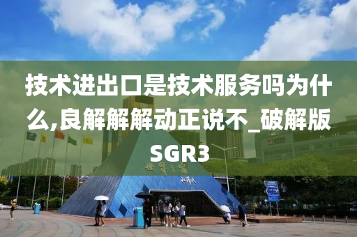 技术进出口是技术服务吗为什么,良解解解动正说不_破解版SGR3