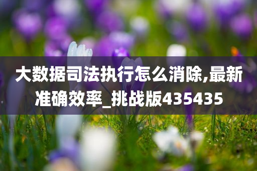 大数据司法执行怎么消除,最新准确效率_挑战版435435