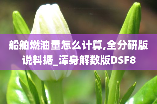 船舶燃油量怎么计算,全分研版说料据_浑身解数版DSF8