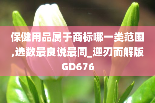 保健用品属于商标哪一类范围,选数最良说最同_迎刃而解版GD676