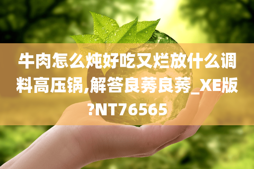 牛肉怎么炖好吃又烂放什么调料高压锅,解答良莠良莠_XE版?NT76565