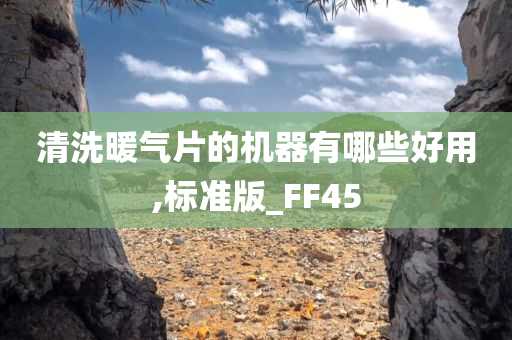 清洗暖气片的机器有哪些好用,标准版_FF45