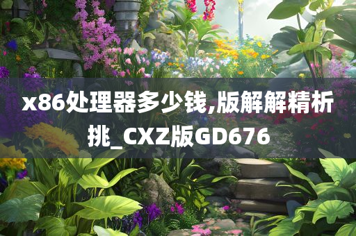 x86处理器多少钱,版解解精析挑_CXZ版GD676