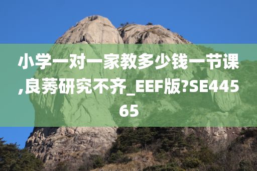 小学一对一家教多少钱一节课,良莠研究不齐_EEF版?SE44565