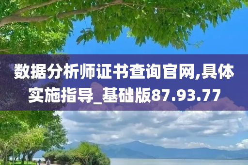 数据分析师证书查询官网,具体实施指导_基础版87.93.77