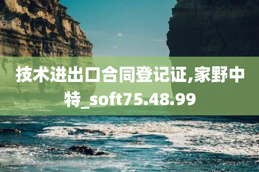 技术进出口合同登记证,家野中特_soft75.48.99