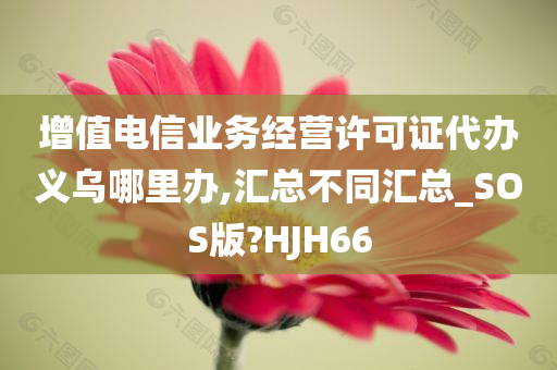 增值电信业务经营许可证代办义乌哪里办,汇总不同汇总_SOS版?HJH66