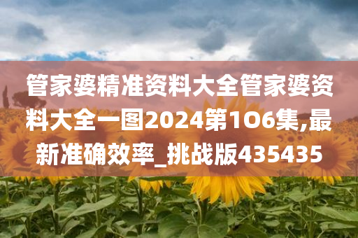 管家婆精准资料大全管家婆资料大全一图2024第1O6集,最新准确效率_挑战版435435