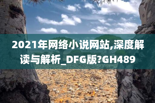 2021年网络小说网站,深度解读与解析_DFG版?GH489