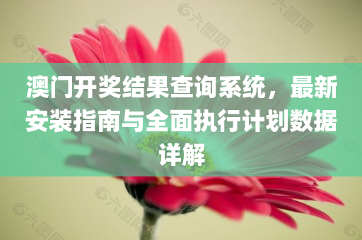 澳门开奖结果查询系统，最新安装指南与全面执行计划数据详解