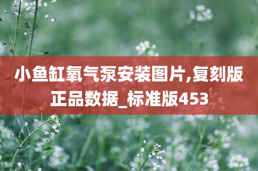 小鱼缸氧气泵安装图片,复刻版正品数据_标准版453