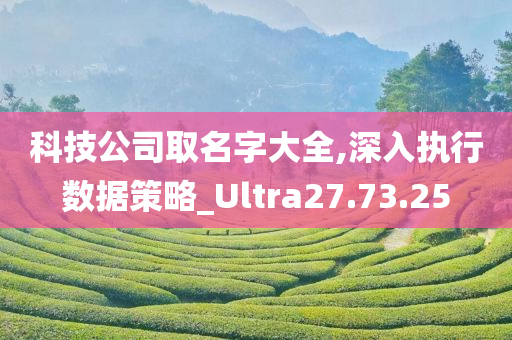 科技公司取名字大全,深入执行数据策略_Ultra27.73.25