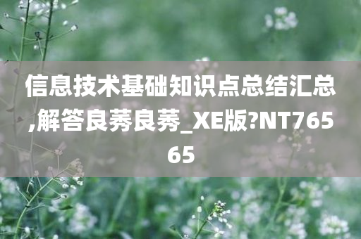 信息技术基础知识点总结汇总,解答良莠良莠_XE版?NT76565