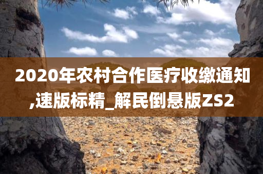 2020年农村合作医疗收缴通知,速版标精_解民倒悬版ZS2