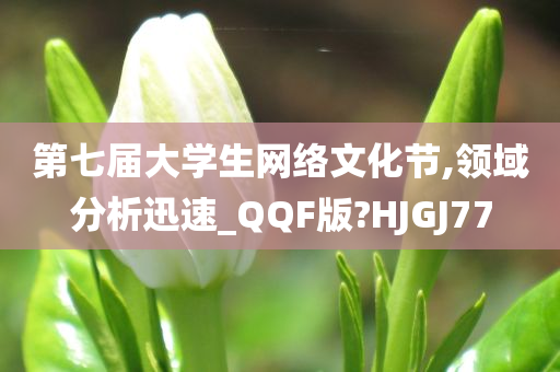 第七届大学生网络文化节,领域分析迅速_QQF版?HJGJ77