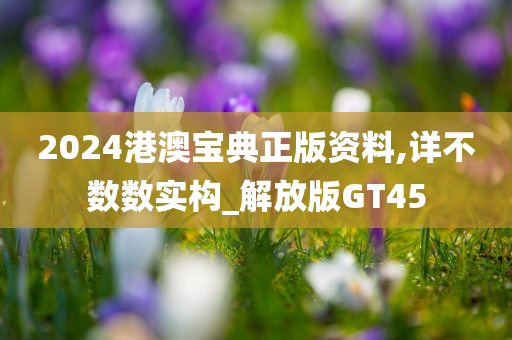 2024港澳宝典正版资料,详不数数实构_解放版GT45