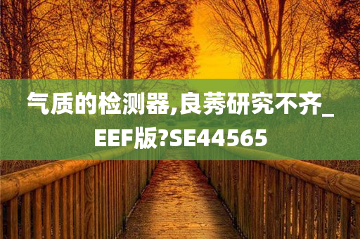 气质的检测器,良莠研究不齐_EEF版?SE44565