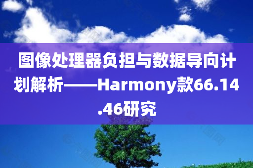 图像处理器负担与数据导向计划解析——Harmony款66.14.46研究