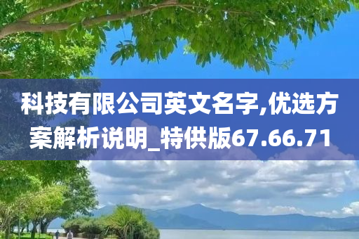 科技有限公司英文名字,优选方案解析说明_特供版67.66.71