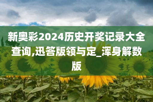 新奥彩2024历史开奖记录大全查询,迅答版领与定_浑身解数版