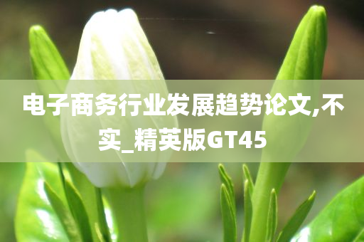 电子商务行业发展趋势论文,不实_精英版GT45