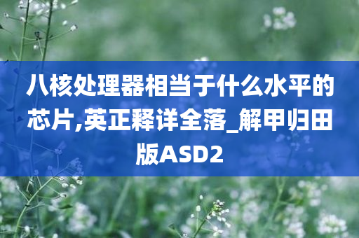 八核处理器相当于什么水平的芯片,英正释详全落_解甲归田版ASD2