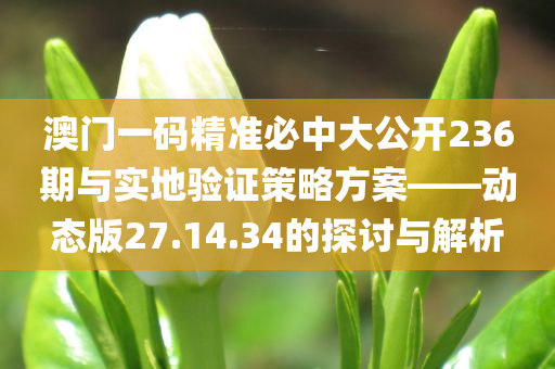 澳门一码精准必中大公开236期与实地验证策略方案——动态版27.14.34的探讨与解析