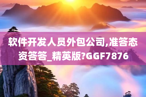 软件开发人员外包公司,准答态资答答_精英版?GGF7876