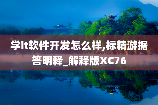 学it软件开发怎么样,标精游据答明释_解释版XC76