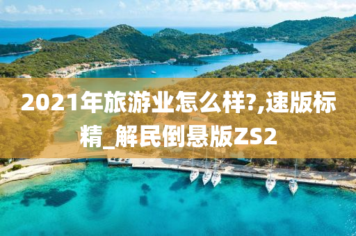 2021年旅游业怎么样?,速版标精_解民倒悬版ZS2