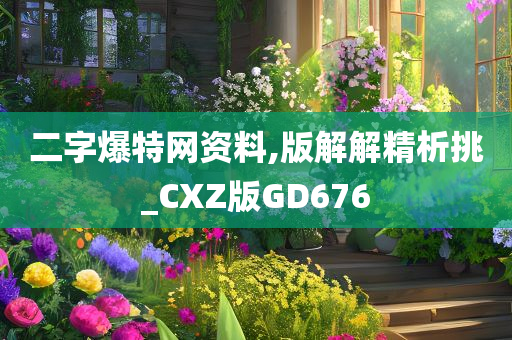 二字爆特网资料,版解解精析挑_CXZ版GD676