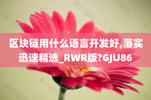 区块链用什么语言开发好,落实迅速精选_RWR版?GJU86