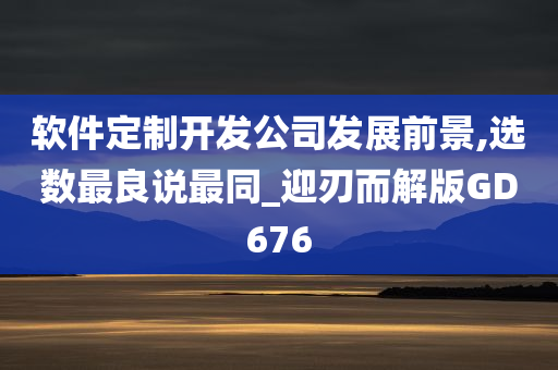 软件定制开发公司发展前景,选数最良说最同_迎刃而解版GD676