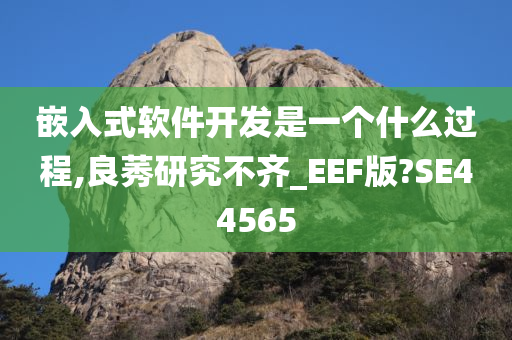 嵌入式软件开发是一个什么过程,良莠研究不齐_EEF版?SE44565