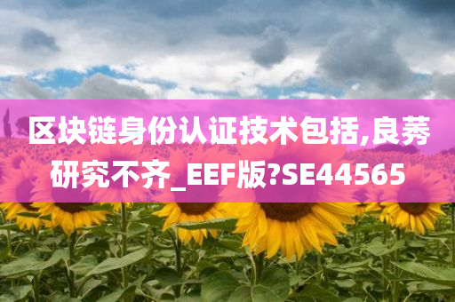 区块链身份认证技术包括,良莠研究不齐_EEF版?SE44565