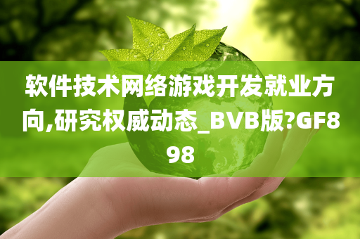 软件技术网络游戏开发就业方向,研究权威动态_BVB版?GF898