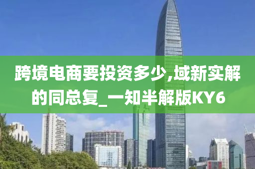 跨境电商要投资多少,域新实解的同总复_一知半解版KY6