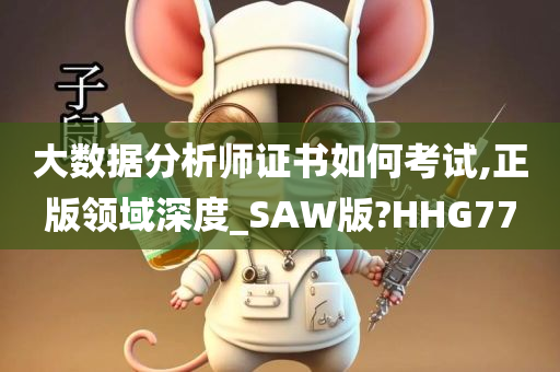 大数据分析师证书如何考试,正版领域深度_SAW版?HHG77