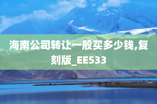 海南公司转让一般买多少钱,复刻版_EE533