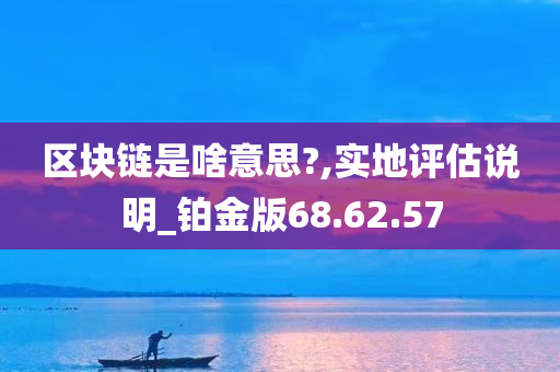 区块链是啥意思?,实地评估说明_铂金版68.62.57