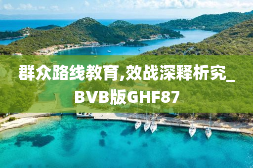 群众路线教育,效战深释析究_BVB版GHF87