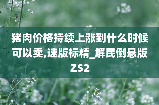 猪肉价格持续上涨到什么时候可以卖,速版标精_解民倒悬版ZS2