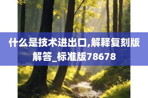 什么是技术进出口,解释复刻版解答_标准版78678