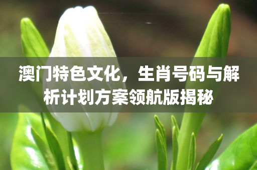 澳门特色文化，生肖号码与解析计划方案领航版揭秘